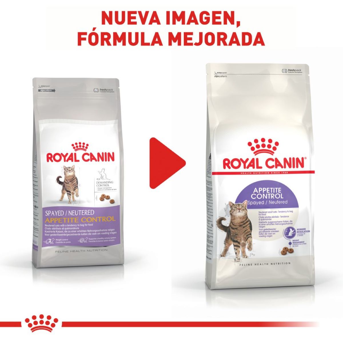 Spayed / Neutered Appetite Control Royal Canin - Alimento para Gato Spayed / Neutered Appetite Control Royal Canin - Alimento para Gato
